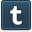 Tumblr icon